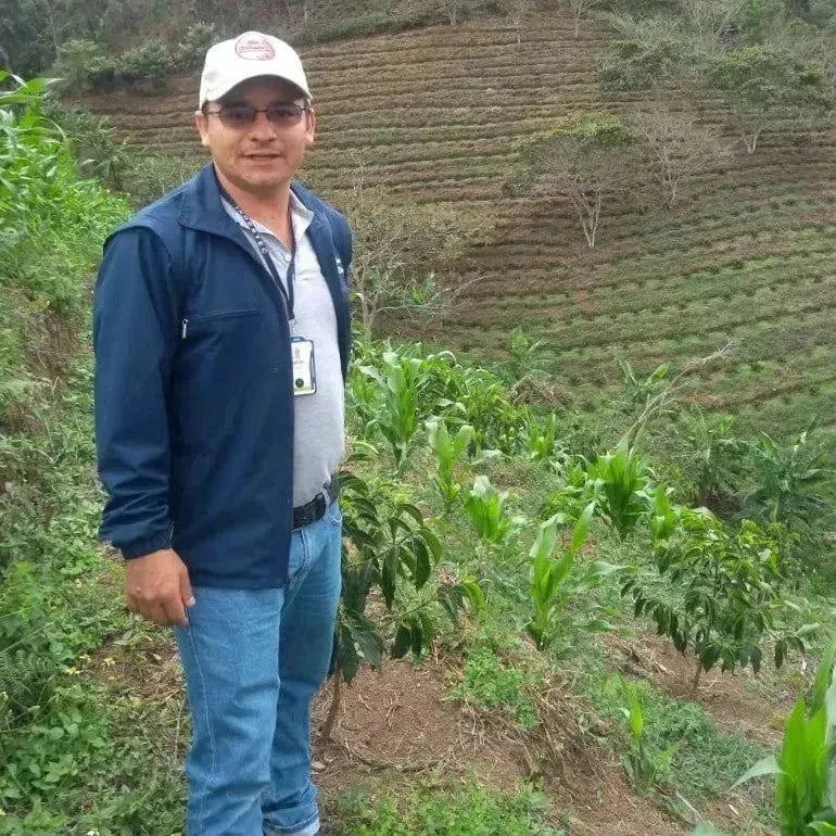 Colombia "Granja Paraiso" - Filter