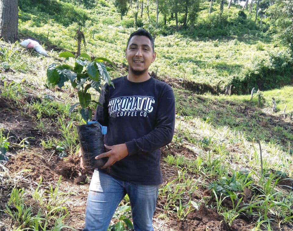 Honduras - Finca Cascaritas Lot 19 - Espresso & milk