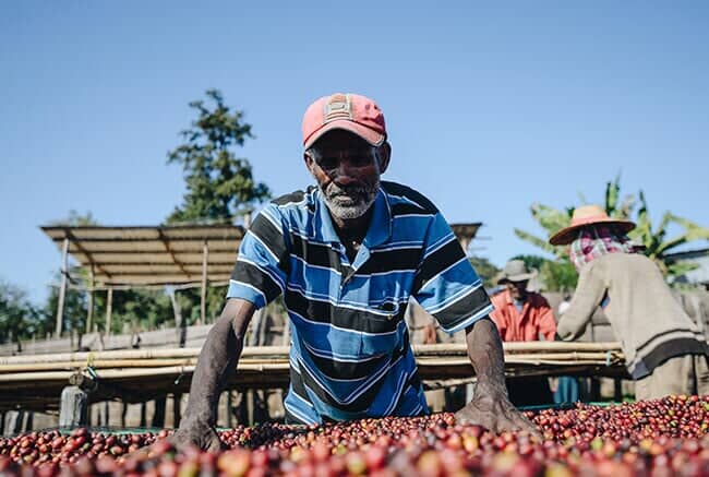 Ethiopia Banko Hatartu - Filter