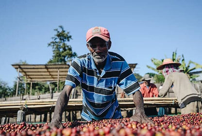 Ethiopia Banko Hatartu - Filter