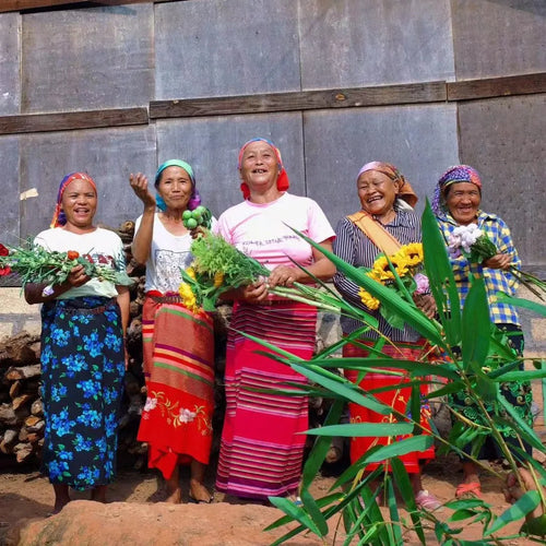 كولومبيا Finca Manantiales - تصفية القهوة الكولومبية