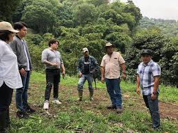 El Salvador Monteverde - Espresso