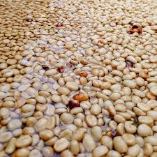 Guatemala Finca Duranzo - Espresso