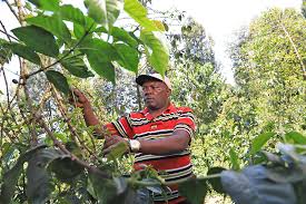 Kenya Thiriku - Filter